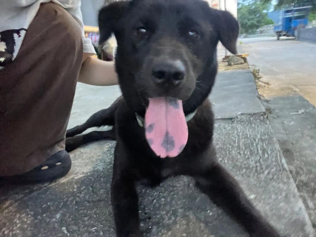 2021卡1卡2卡3精品老狼