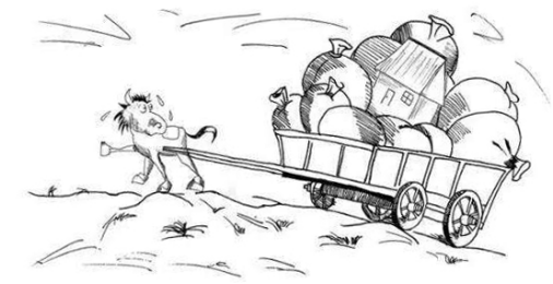 女被 女被如果你有其他问题