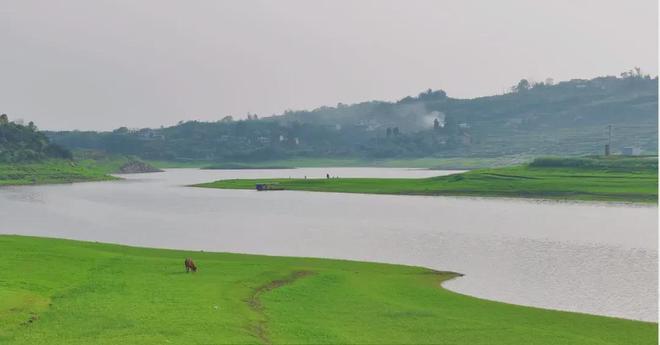 群p动漫 群p动漫群p动漫对不起