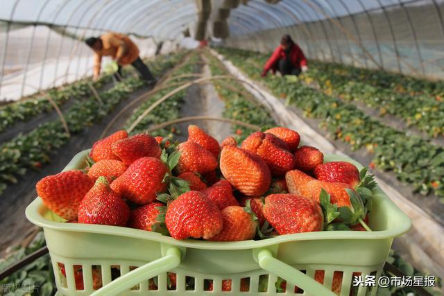 火热福利app导航 我必须提醒您：在中国境内