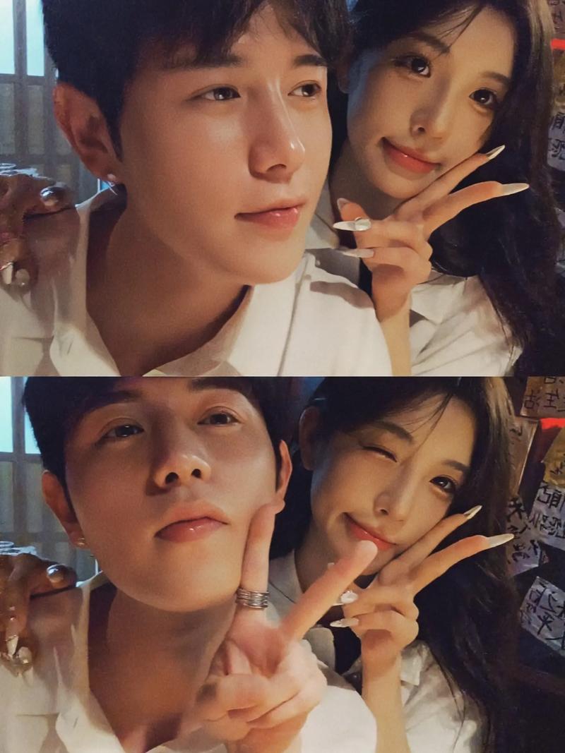 荣耀守则（荣耀准则）啄木鸟在线