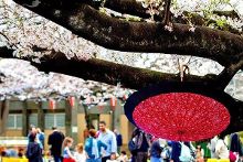 精品人妻少妇嫩草AV无码专区