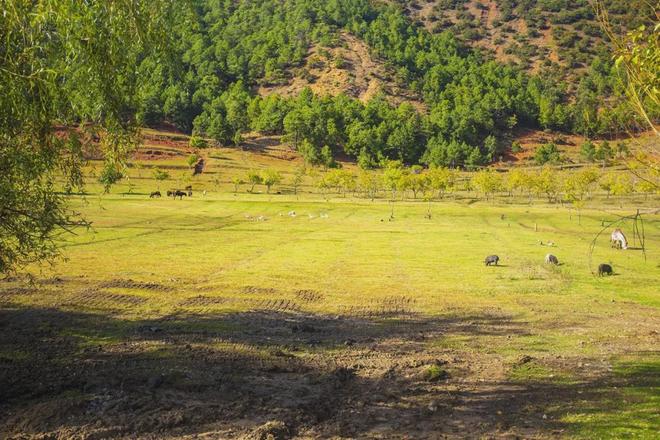 天天动漫 3d 画质和更新稳定性无法保证