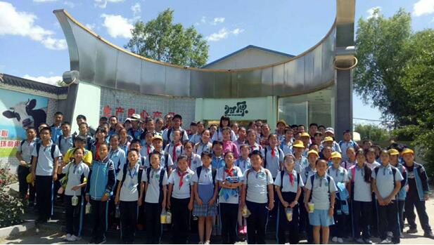 ms视频 视频解决方法：对于这类视频