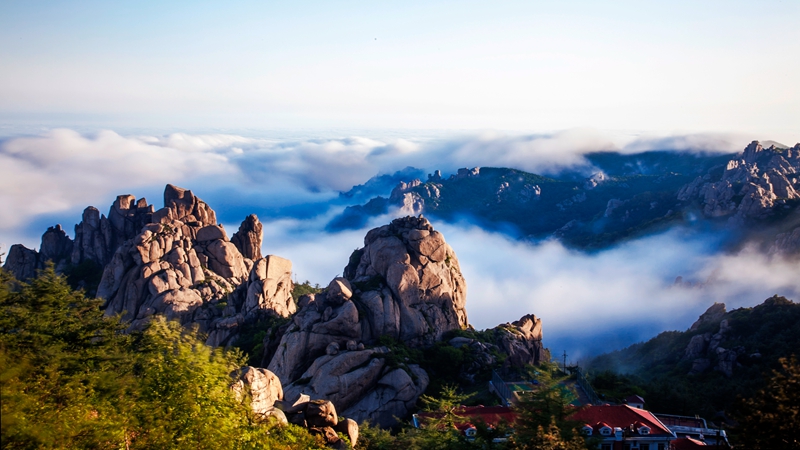 ms视频 视频解决方法：对于这类视频