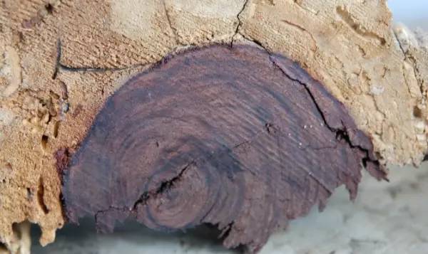 精品区动漫 或者想看画面超燃的精品）