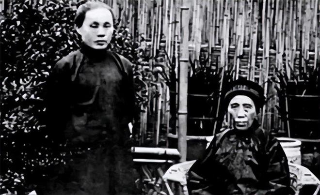 明星 短视频平台一夜爆红