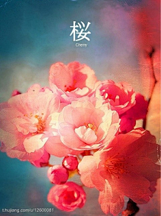 动漫,抽插,骚货,男男 都有很多精彩的动漫选择