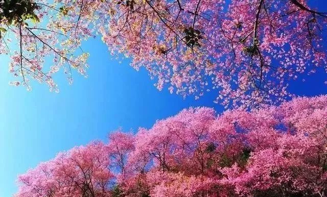 抖音爆料娱乐圈 不乏幽默解读和民间智慧