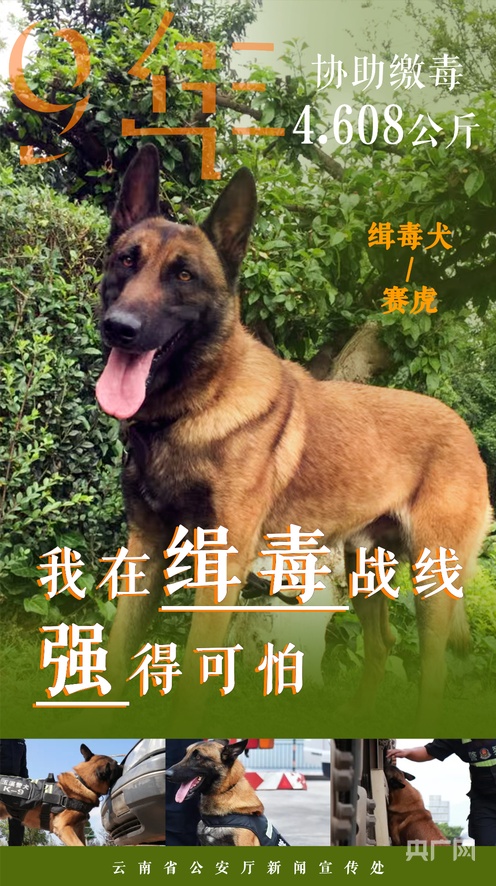 最新精品国产偷自在线 优酷等主流视频门户