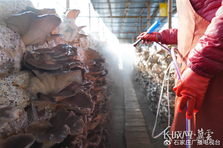 暖暖视频日本免费观看视频 观看日本暖暖视频免费资源时