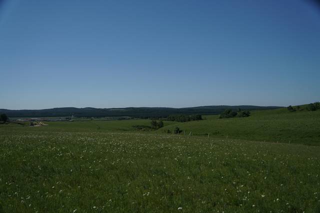 麻酥酥 麻酥酥兼顾便携性与保鲜需求