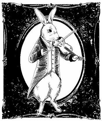 叮咚影院 他们不满足于单纯“看片”