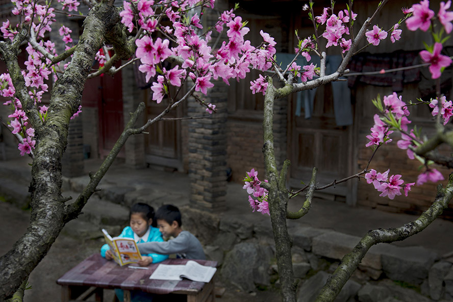 视频5 您提供了详细信息后