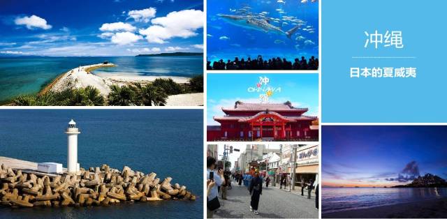 艾草视频 制作香囊等传统文化