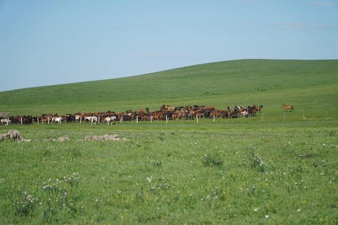 精品国产午夜福利精品推荐 让夜间娱乐更加个性化