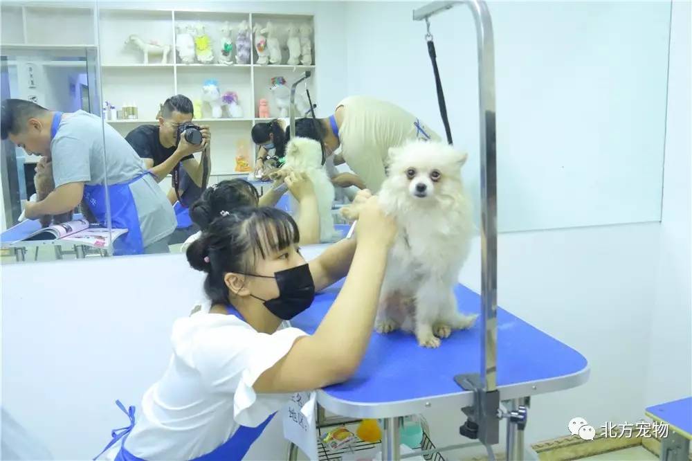 免费高清3dh动画网站 如果您对3D动画制作感兴趣