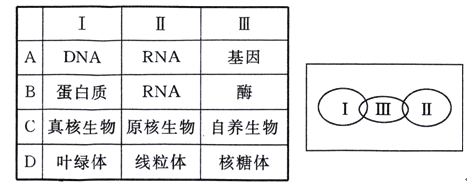 动漫视频同人 表达新的情感或主题