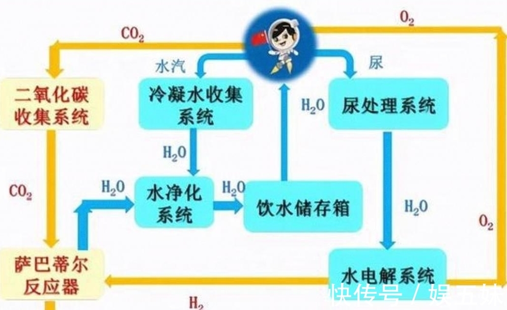 日本里番肉番在线观看