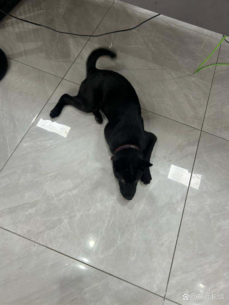 17c最新域名 新域解析生效时间短