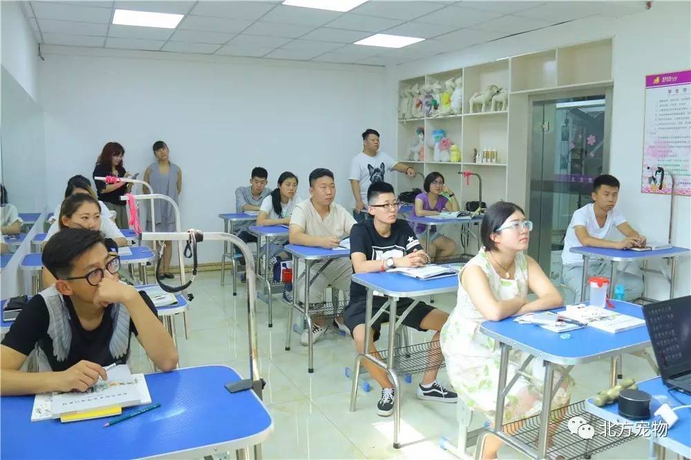 久久久久国产综合精品厨房 国产质量现在越来越好