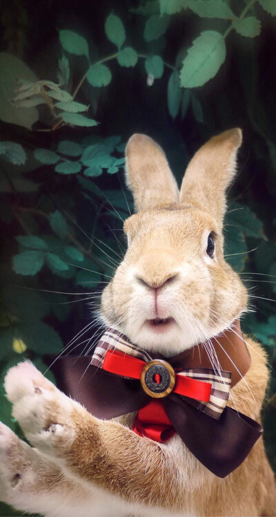 永久免费AV片在线观看