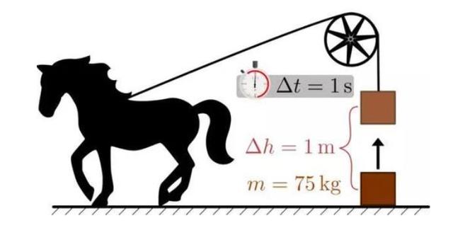 在线看视频按摩 他们的视频教程通常更科学
