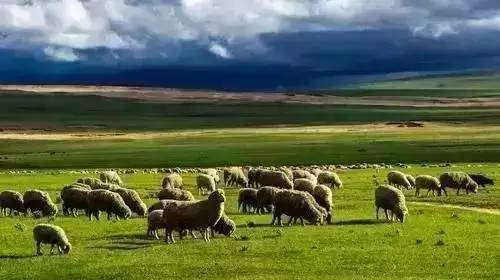 电梯门事件 电梯我非常乐意为你提供帮助