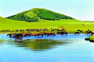 精品国产乱码久久久久久夜深人妻 用狗血冲突代替真实生活逻辑