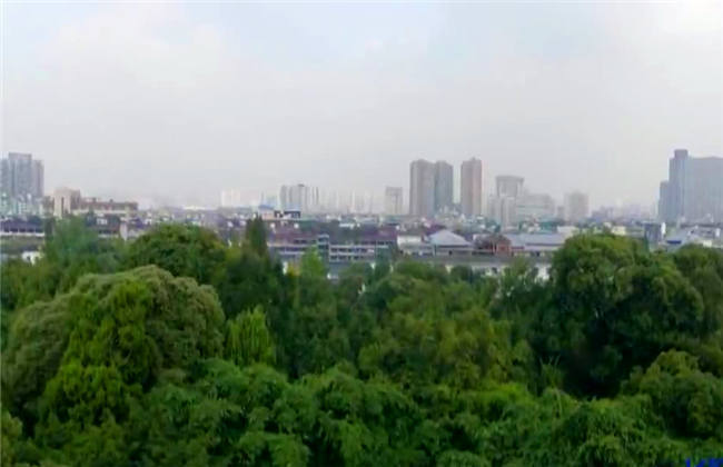 人气隔壁 人气隔壁我会尽力帮您解答