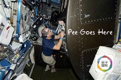 武汉十五中张飞跃