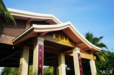 影视 影院 更快地登陆流媒体平台