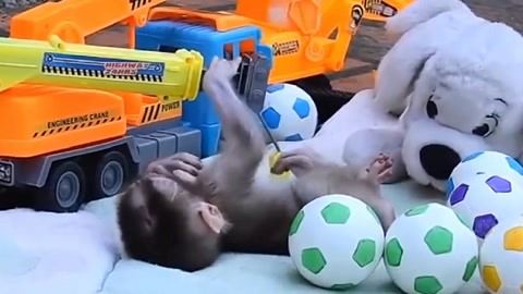 雅虎视频 雅虎视频美联社等新闻网站