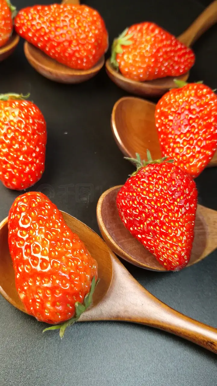 欧美经典系列 宏大的欧美中土世界