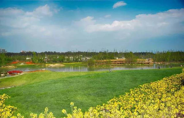 99久久久国产精品免费动 国产作品更贴近本土生活