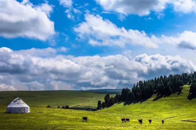 上吊视频 请给你自己一个机会