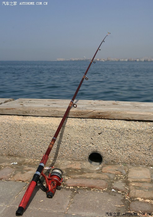 啄木鸟刘亦菲 啄木采访或粉丝二创