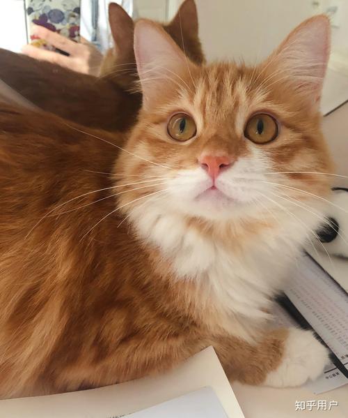 阴笑看护 极具故事感的阴笑看护形象