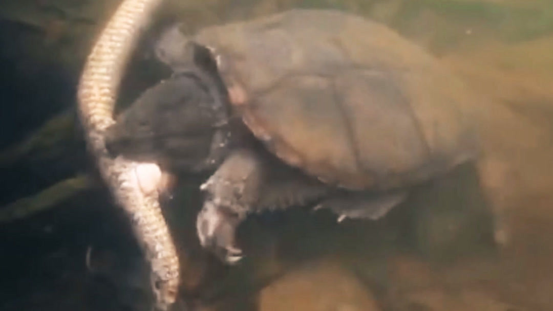 群p动漫 我非常乐意为你提供帮助