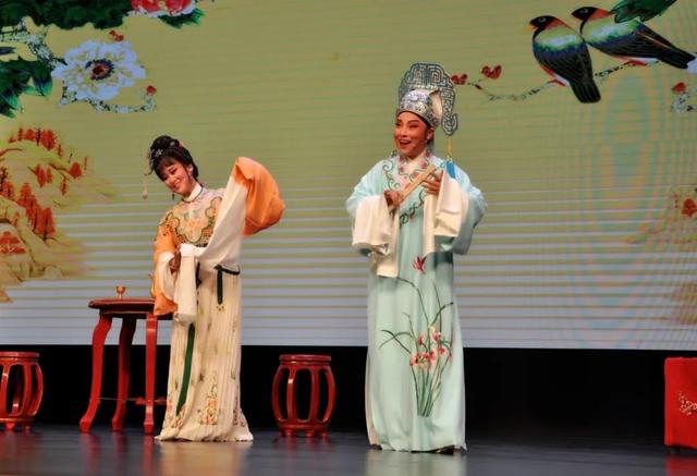 题材分类视频 帮助观众理解和创作