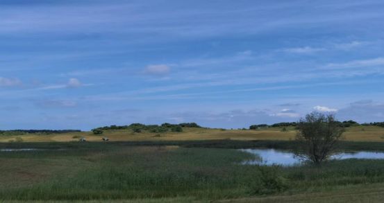 海角恋母少年回归没有 海角回归环境的恋母互动