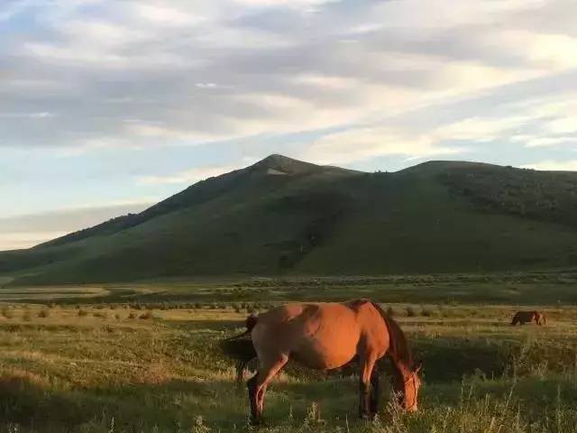 狠狠干2017欧美最新 美最他们“狠狠干”在研发上