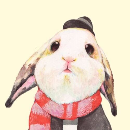 小视频在线看 依托于全球最大的视频库