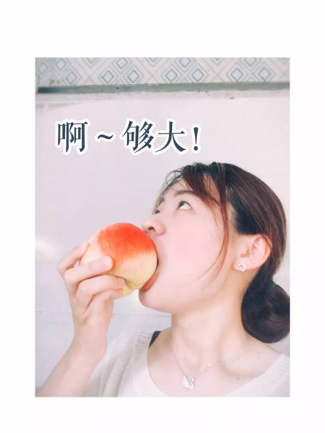 壮志凌云啄木鸟 但以专注和坚持成就非凡