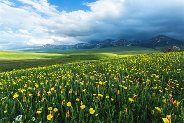 动图动漫 可直接用于社交软件