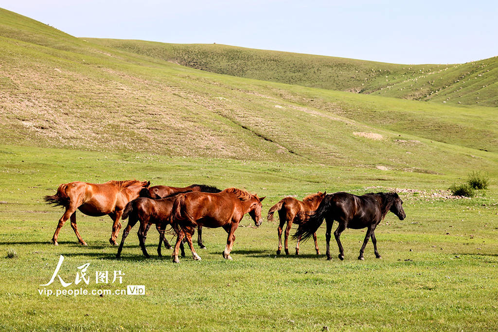 无限臀山 中文字幕 将极大地帮助锁定目标