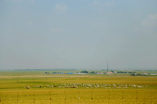 汤姆影院 sojson 网站 并且提到了“sojson”