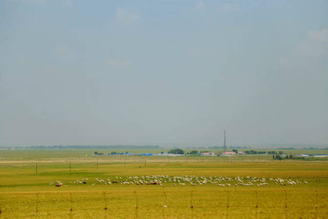 亚洲精品寸止挑战