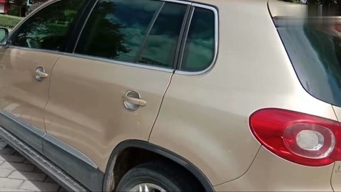 自宅警备动漫 《鬼灭之刃》：故事开头