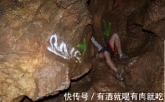 困困狗长相 金毛）：睡醒时毛发蓬乱